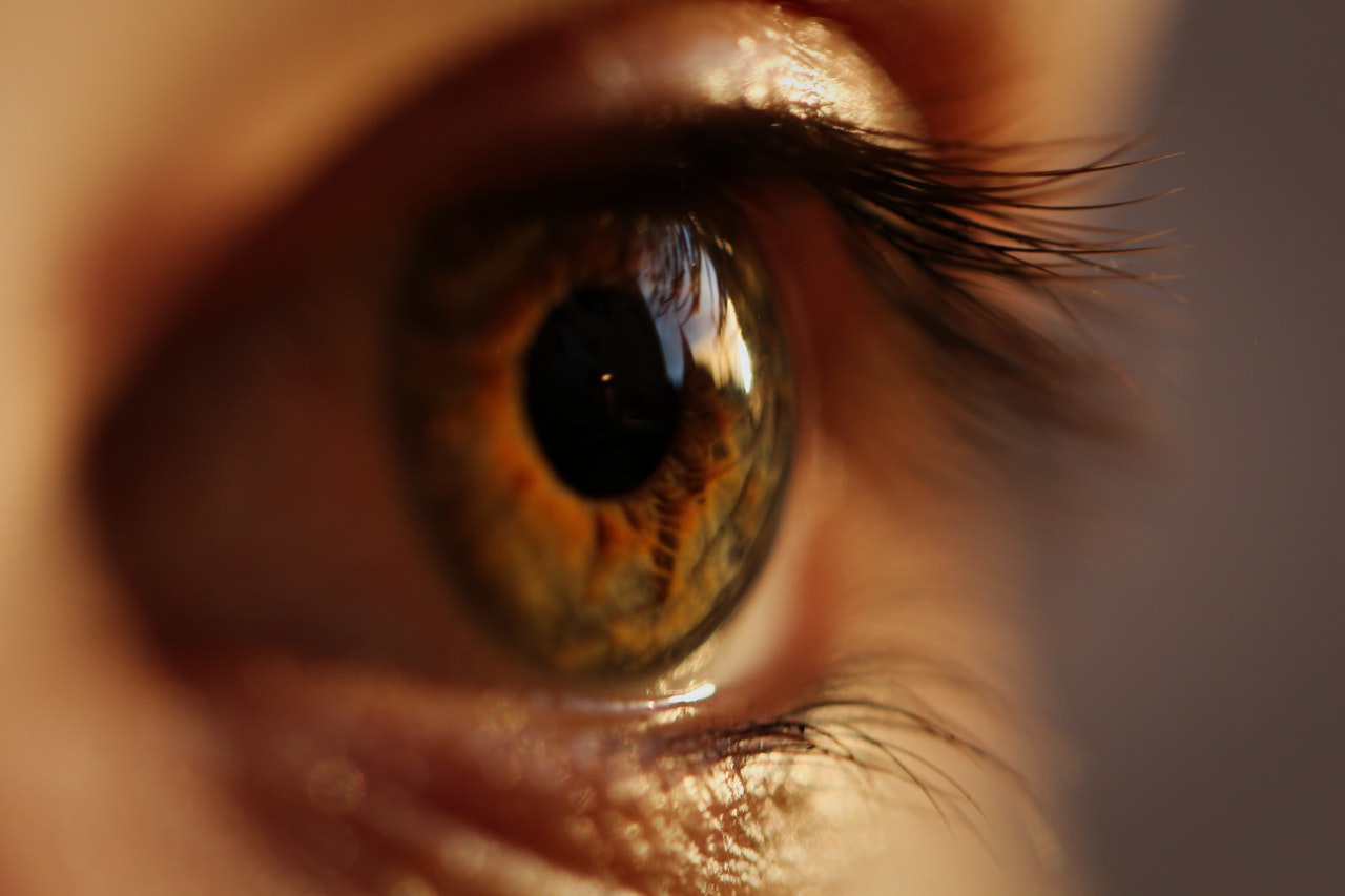 How To Start A Lash Business At Home?